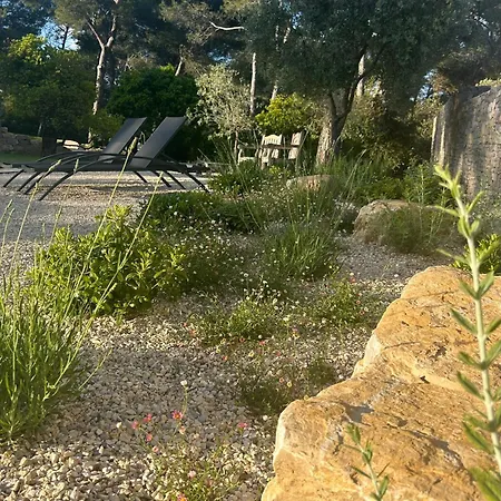 A L'ombre Des Pins Affittacamere