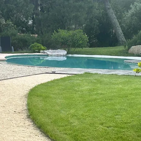 A L'ombre Des Pins *