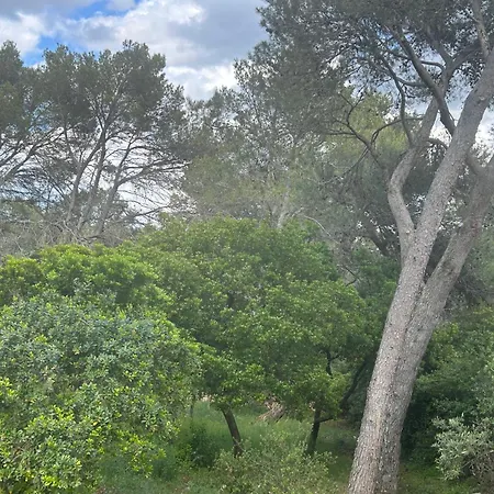 A L'ombre Des Pins Affittacamere