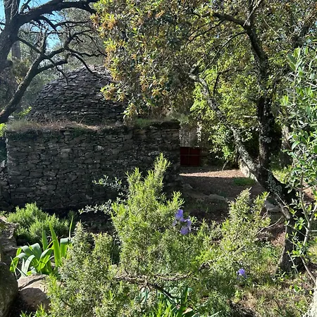 A L'ombre Des Pins * Nîmes