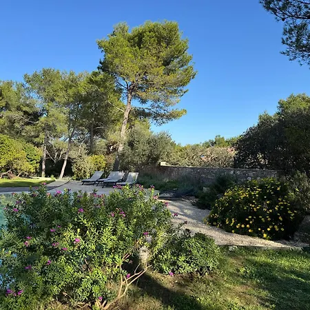 A L'ombre Des Pins * Nîmes