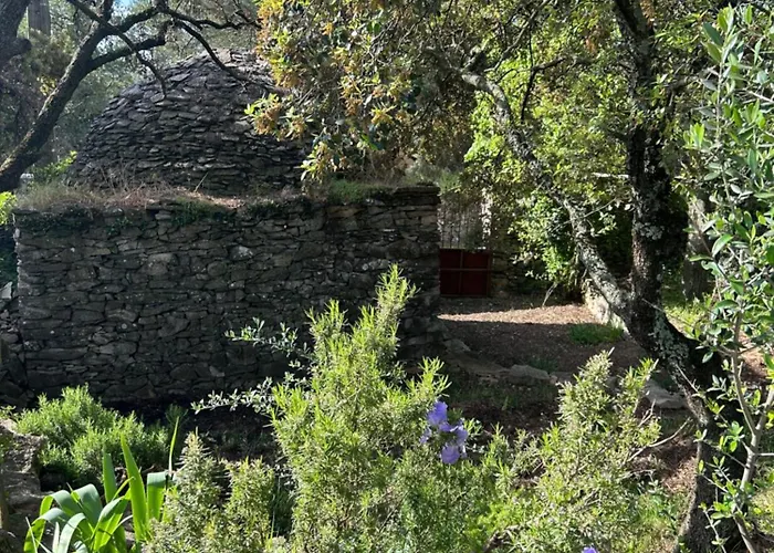 A L'ombre Des Pins * Nimes